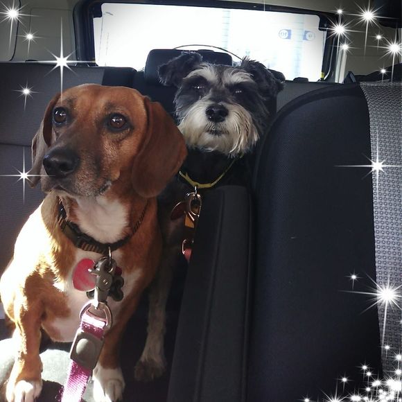 Meet your Posher, Stacy ann - Picture 1 of 1